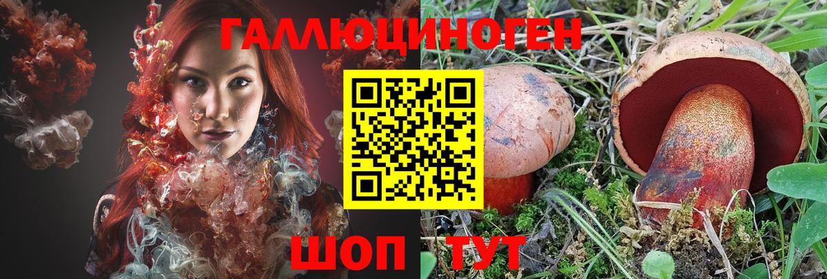 Великий Новгород  Галлюциногенные грибы прущие грибы  Вход с VPN 